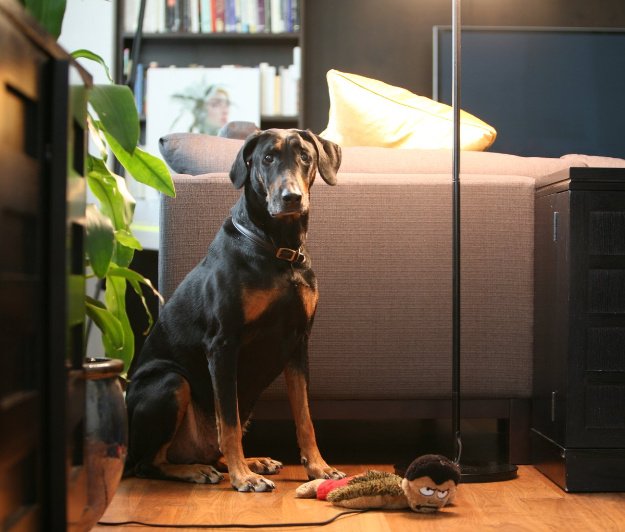 Otto