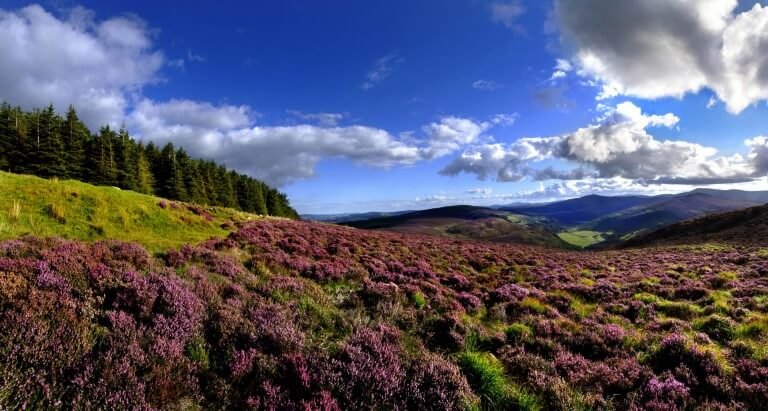 Exploring nearby: Wicklow Mountains
